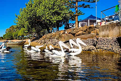 Reflections Massy Greene - Holiday Park