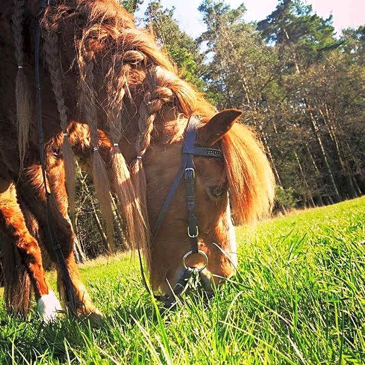 Hotel Wolfringmühle