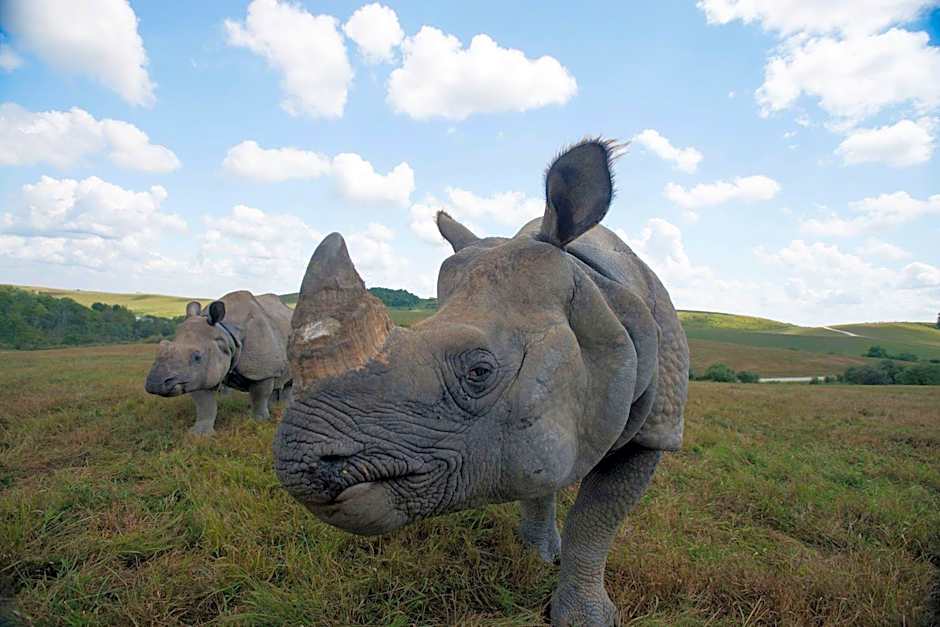 Holiday Inn Express Hotel & Suites Zanesville North By IHG