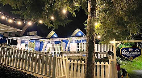 Blue Cabins By Pfordten Cottage