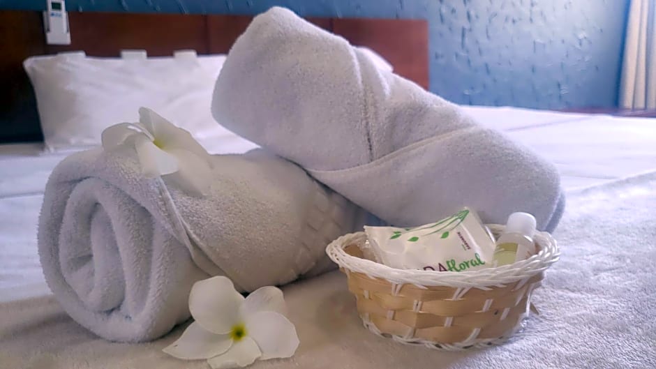 Marbello Ariau Hotel