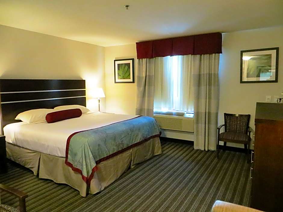 Photo 1 of 7 of 2 King Beds
