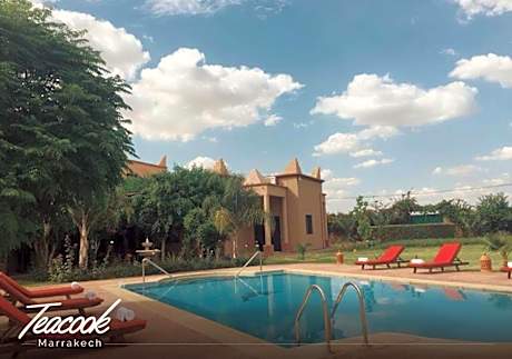 Teacook Marrakech