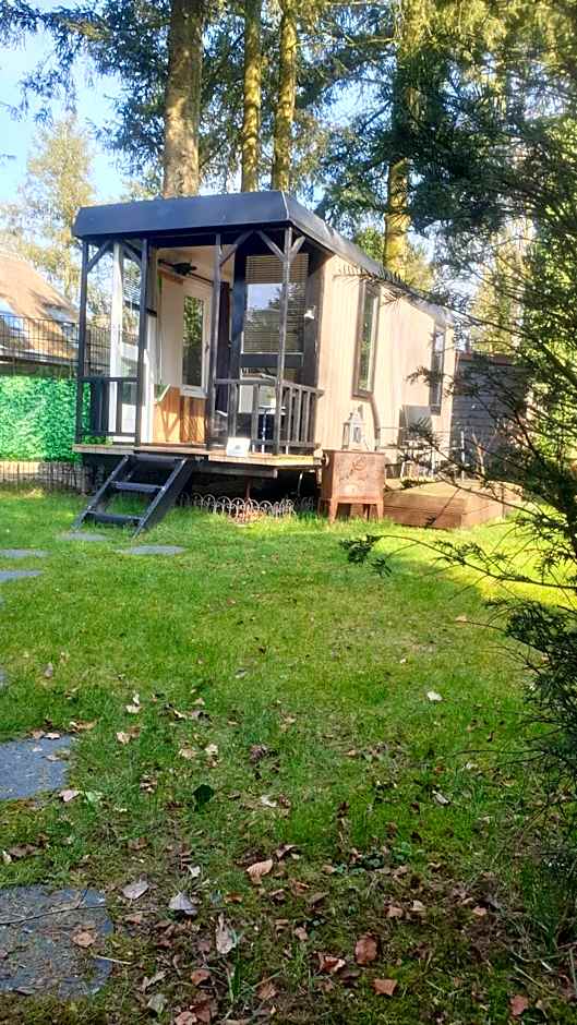 Pipowagen Bed bij Bos