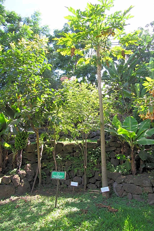 Easter Island Ecolodge