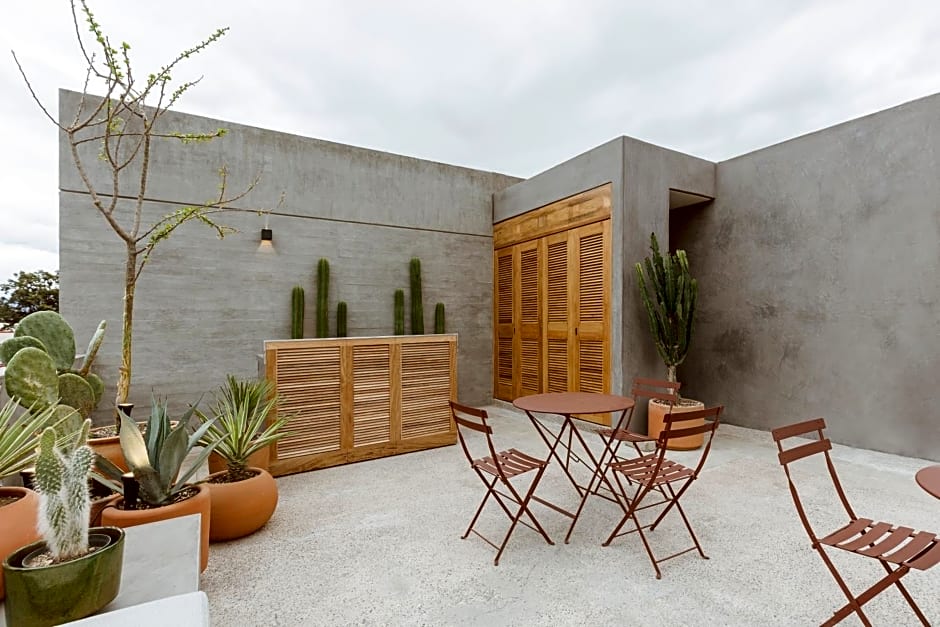 Macondo Arte Oaxaca