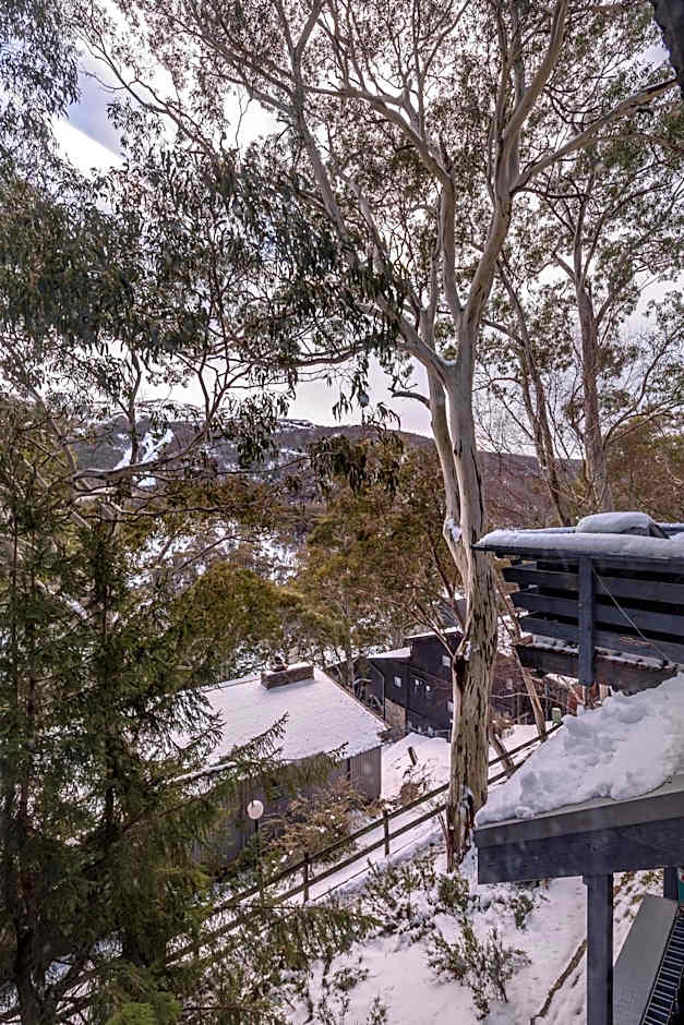 Pure Chalet Thredbo