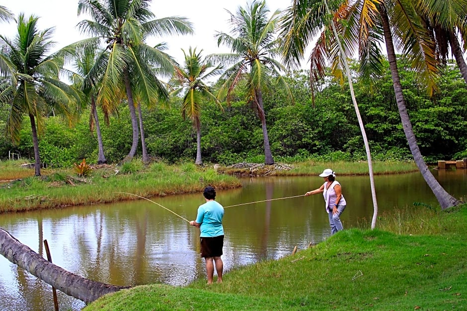 Pousada Paraíso dos Coqueirais