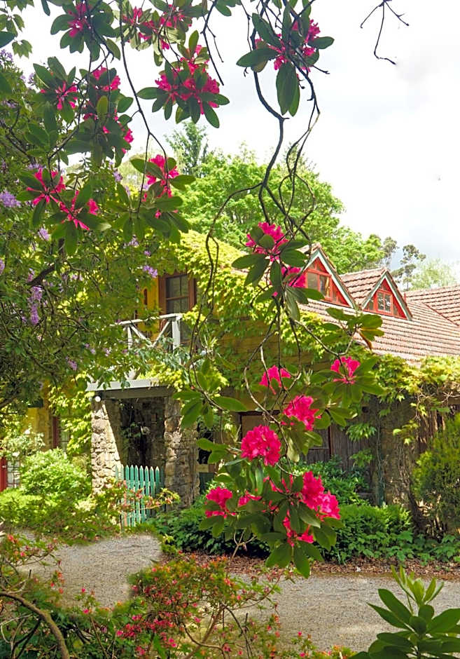 Arnica Views Summit Retreat