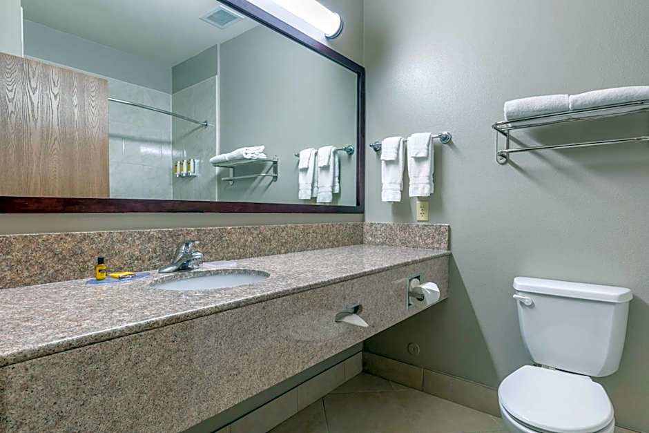 Best Western Plus Mansfield Inn & Suites