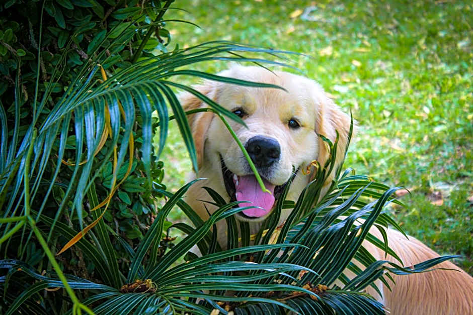 Pousada Estância Monte Horebe