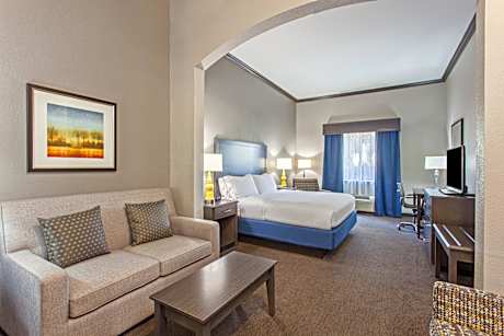 1 King Bed Suite Comm Accessible Tub