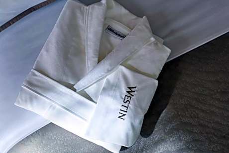 Club Suite, Club level, 1 Bedroom Executive Suite, 1 King