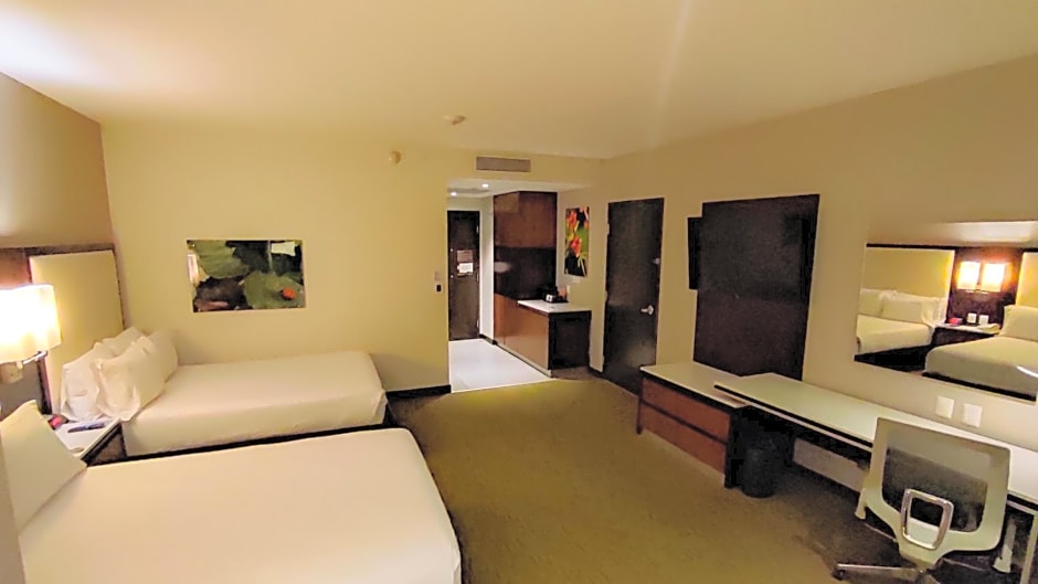 Hilton Garden Inn Puebla Angelopolis