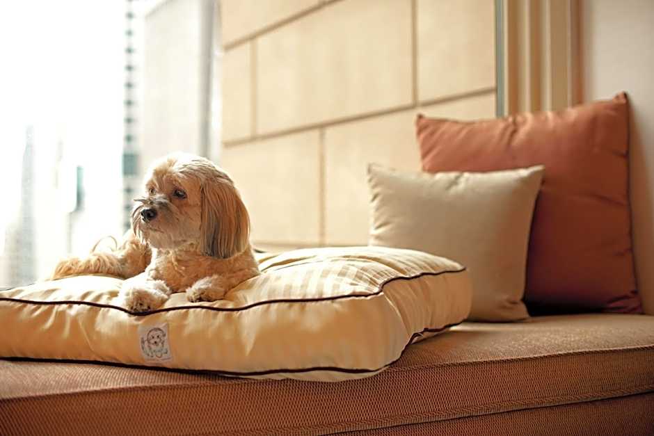 Hyatt Regency Cincinnati