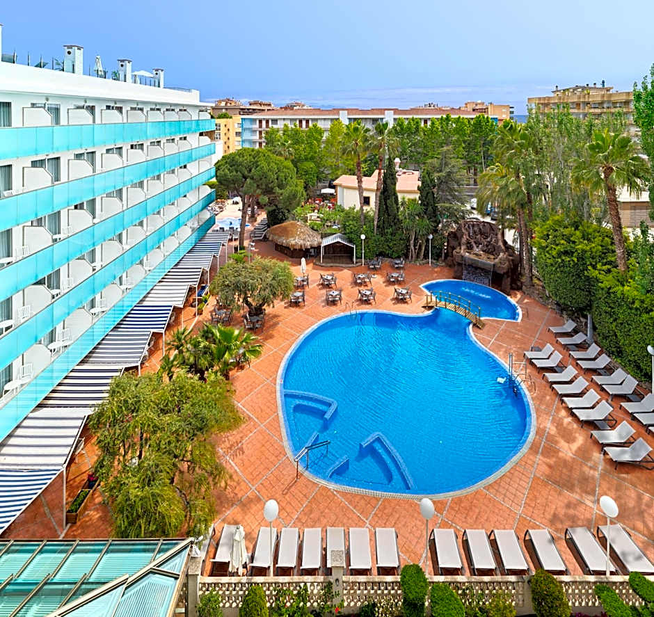 H10 Delfín - Adults Only