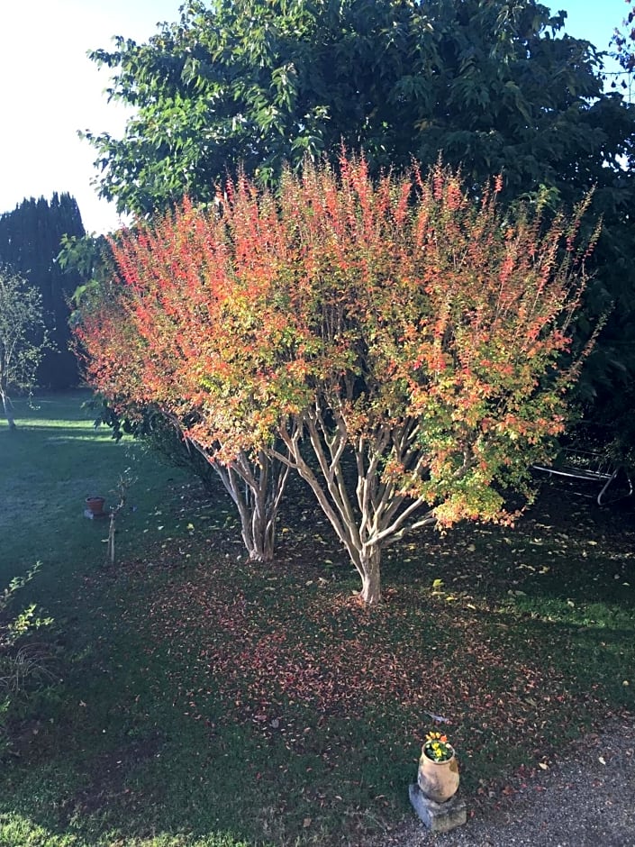 Saint Sever des Pyrenees