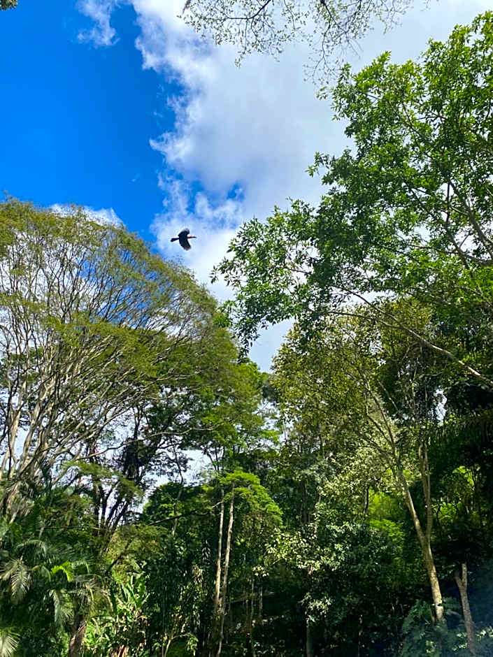 Exclusive Oásis by Lotta De Macedo Soares