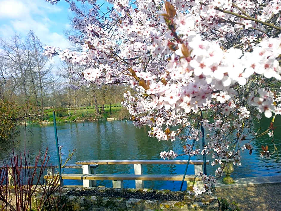 hôtel restaurant Beau-rivage