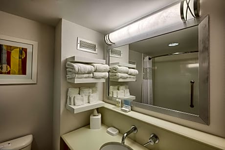 1 King Bed 1 Bedroom Suite Nonsmoking