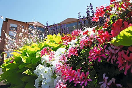 LES TERRASSES DE BORDA***