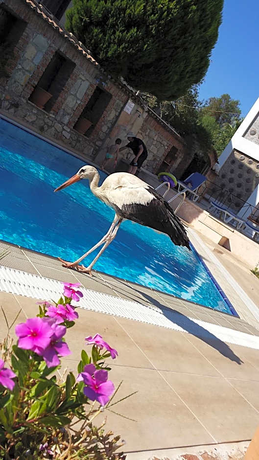 Akay Hotel