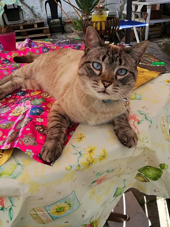 B&B Il Giardinetto Alghero