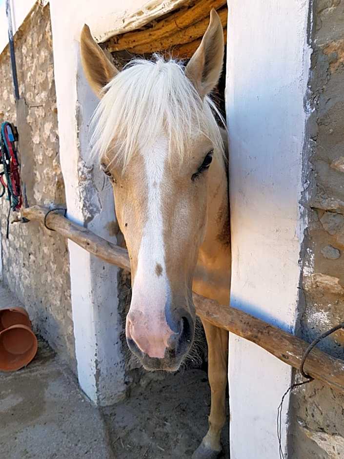 Ranch de Sidi kaouki