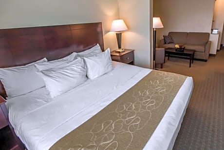 King Suite with Sofa Bed - Non-Smoking
