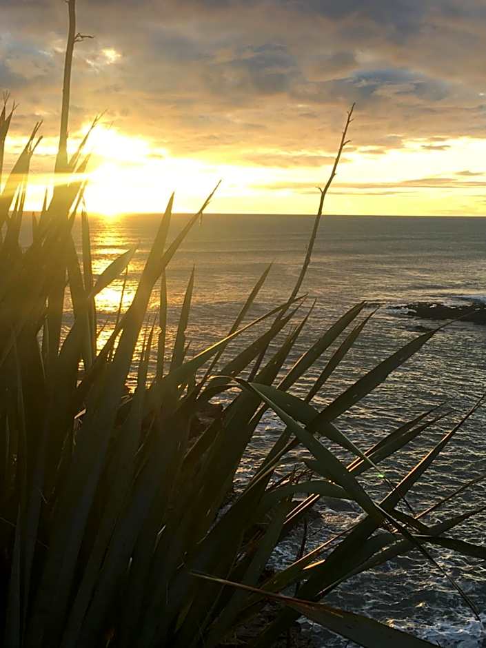 Punakaiki Treehouse Limited