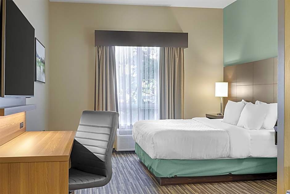 Best Western Plus Dartmouth Hotel & Suites
