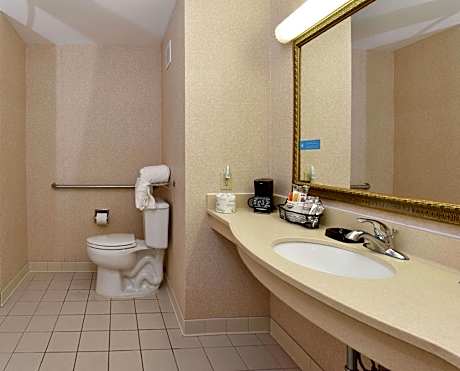 1 King Accessible Roll In Shower Non-Smoking