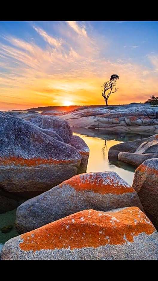 Georges Bay Apartments