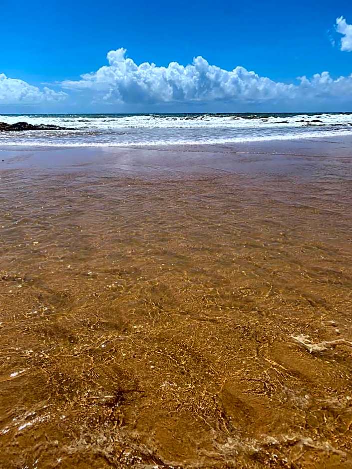 Imbassaí Bahia Temporada