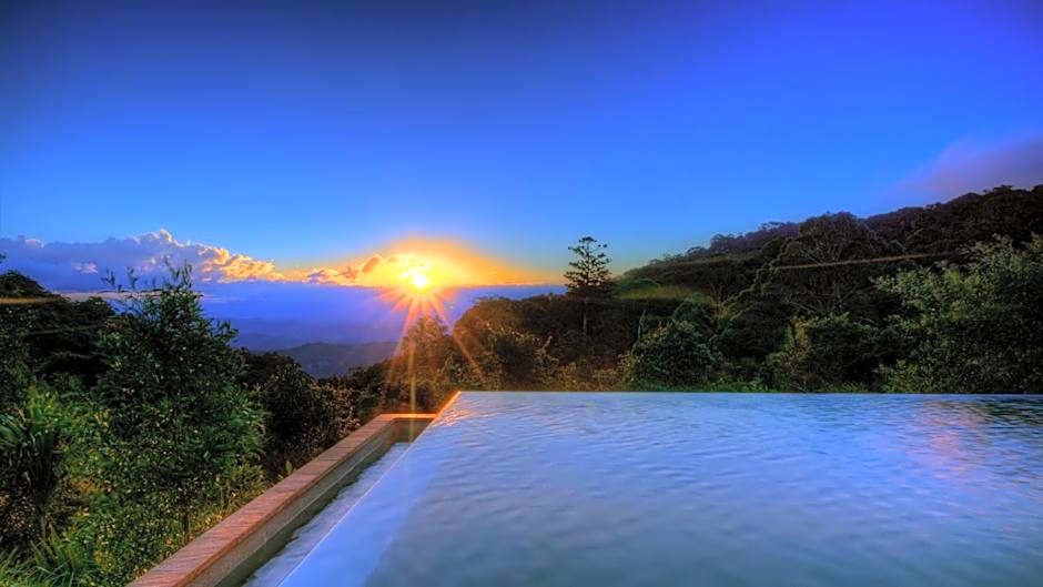 O'Reilly's Rainforest Retreat