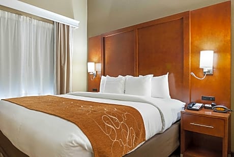 1 Bedroom King Suite