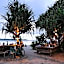 Island View Bar & Bungalow