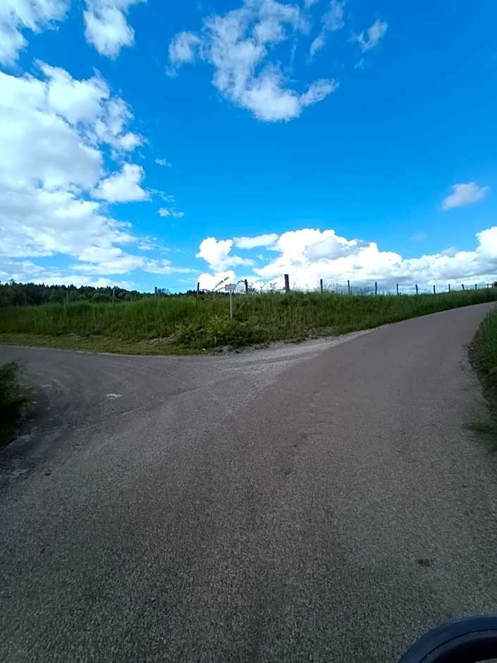 Soleil levant au domaine de Tara