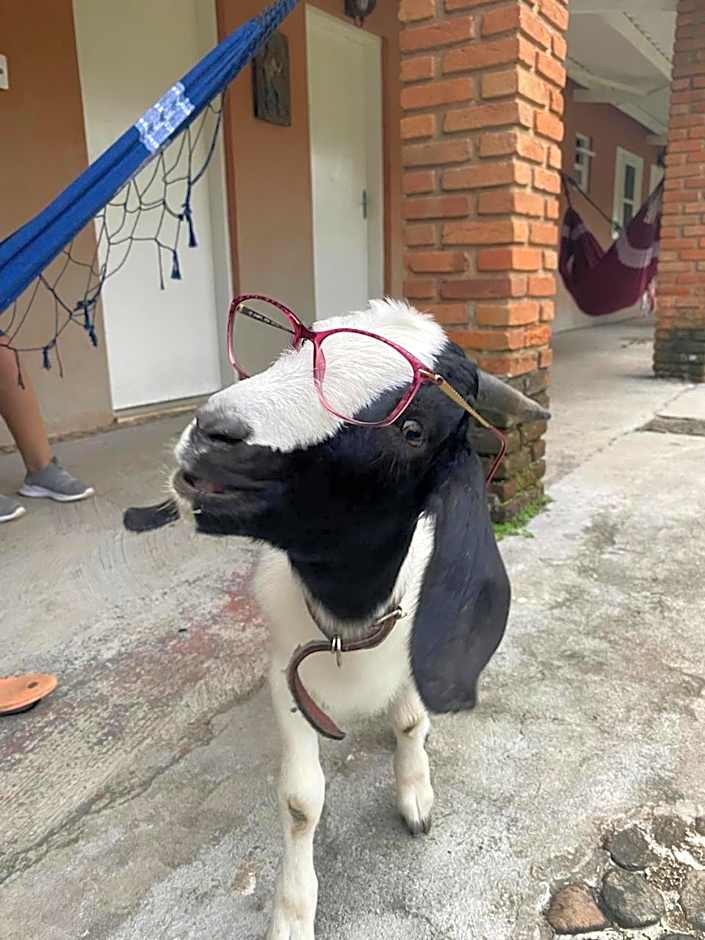 Pousada Ecológica Cavalo de Pedra