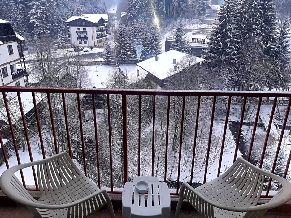 Atrium Hotel Mountain View Predeal