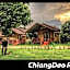 Chiang Dao Reset