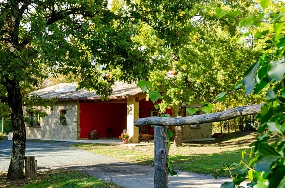 La ghiandaia