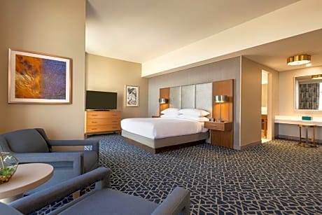 1 King Bed 2 Room Premium Suite