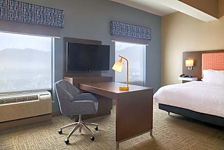 1 King Mobility Access Ri Shwr Studio Nosmok