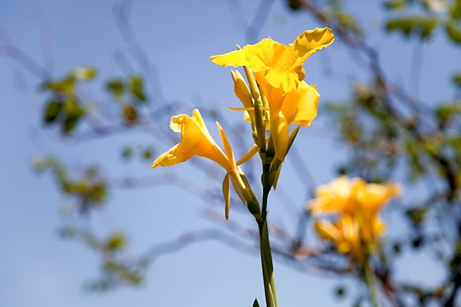 Hotel Residence Mendolita