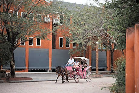 Amphawa horse farm