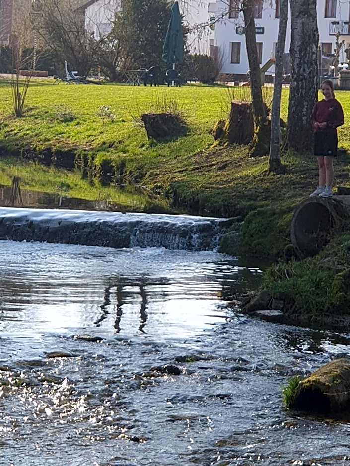 Hotel Hirsch Fluorn Schwarzwald