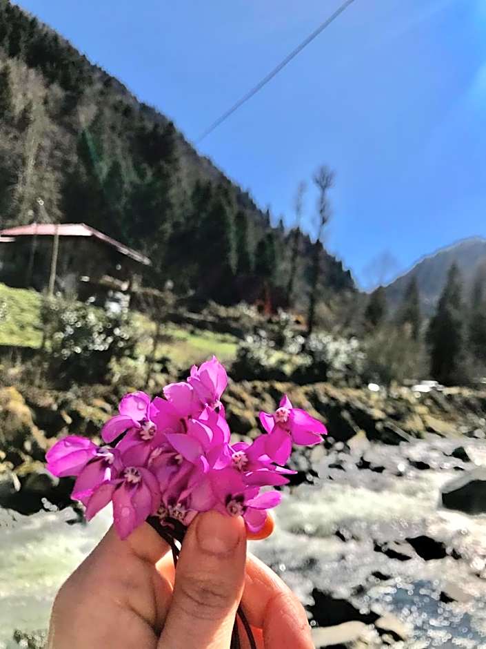 Foga Bungalov – Çamlihemsin, WI