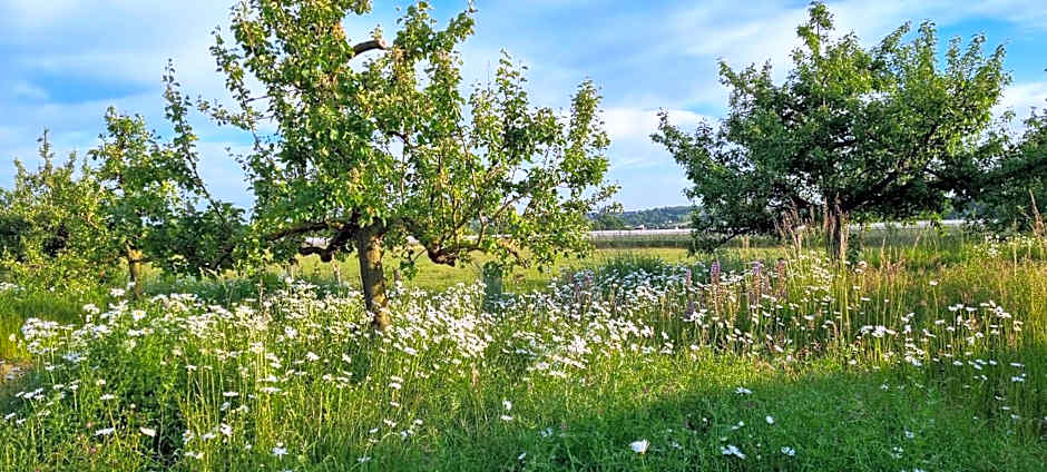 Vorgebirgsblick Ruhige Gästezimmer mit Self-Check-in