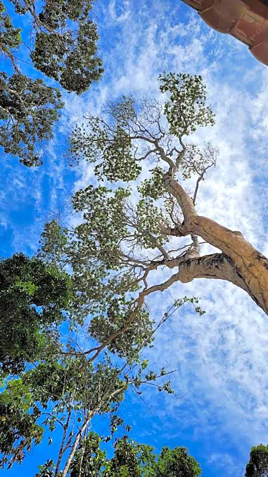 Villa Mediterrâneo Trancoso